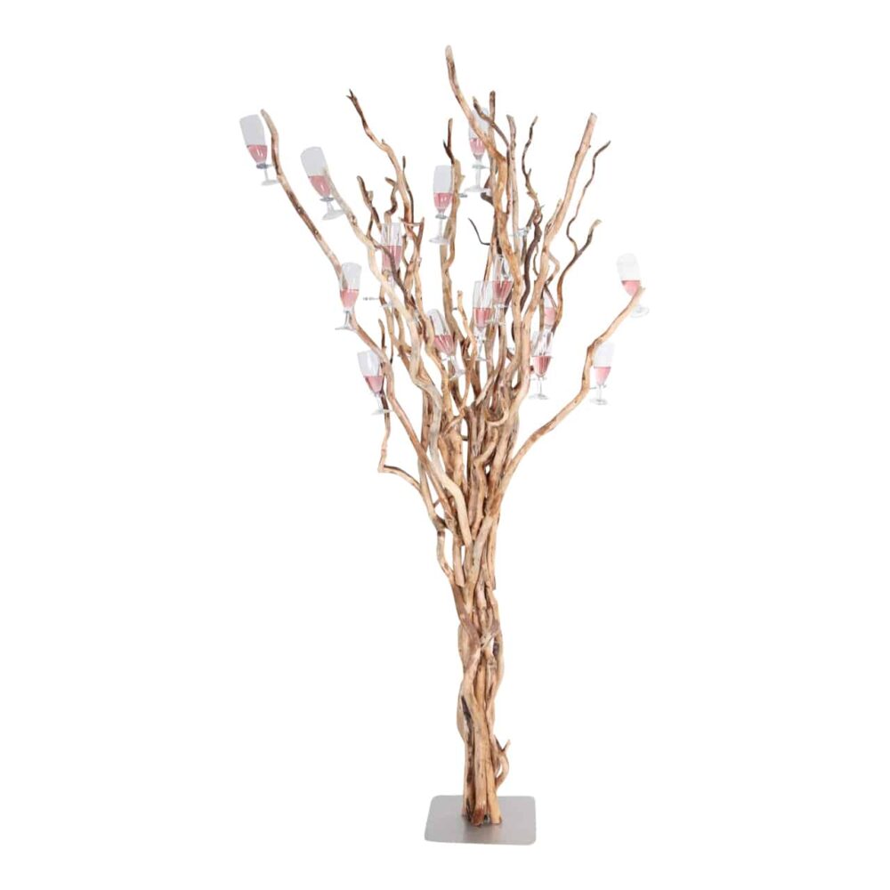 champagneboom brocant groot op voet met 35 haakjes