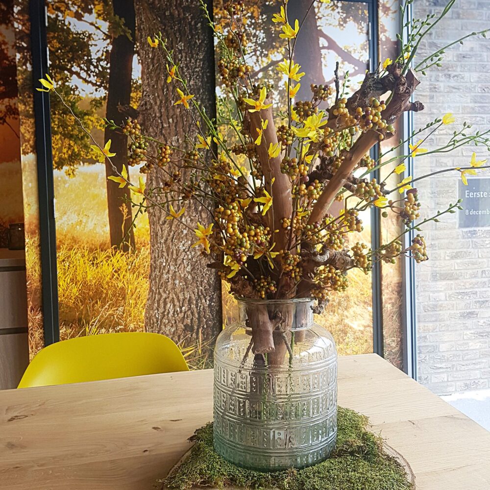 forsythia_herfst_e4b (002)