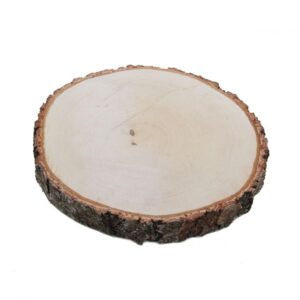 houtschijf berk geschuurd 25-30 cm