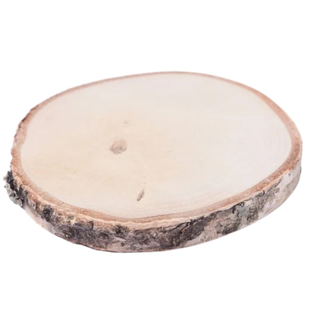 houtschijf berk geschuurd 35-40 cm