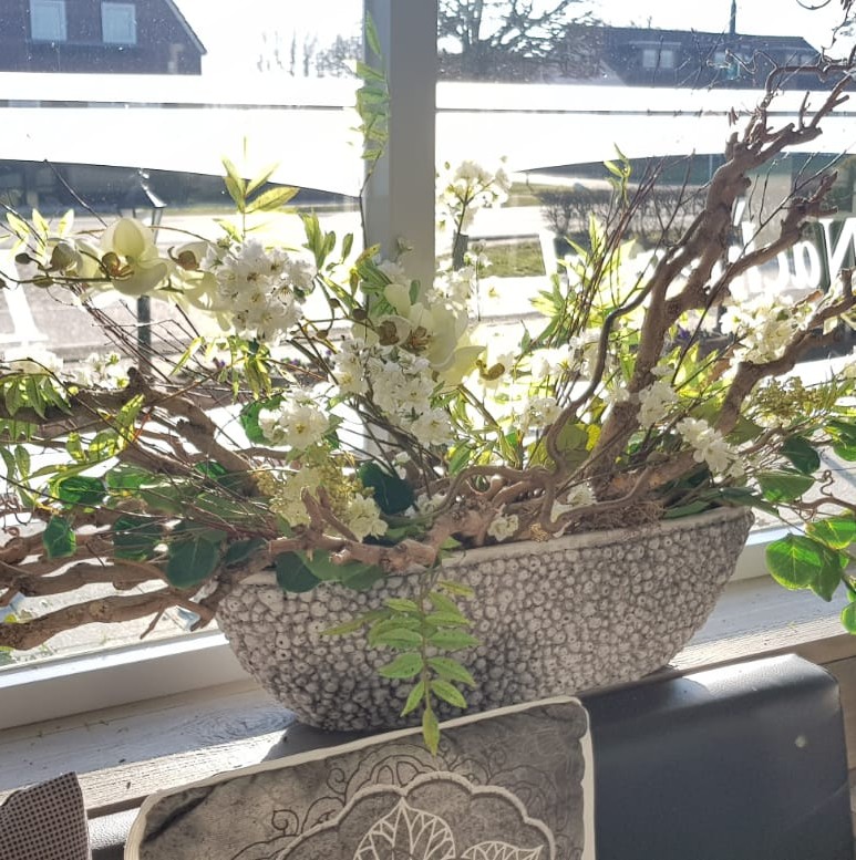 seringentakken in pot voor raam