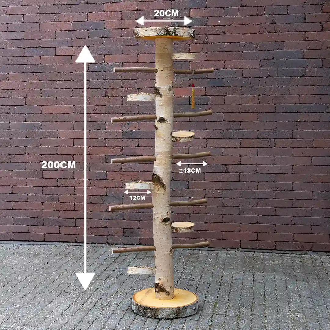 vogelboom-kiki-met-voederplateau-afmetingen200cm
